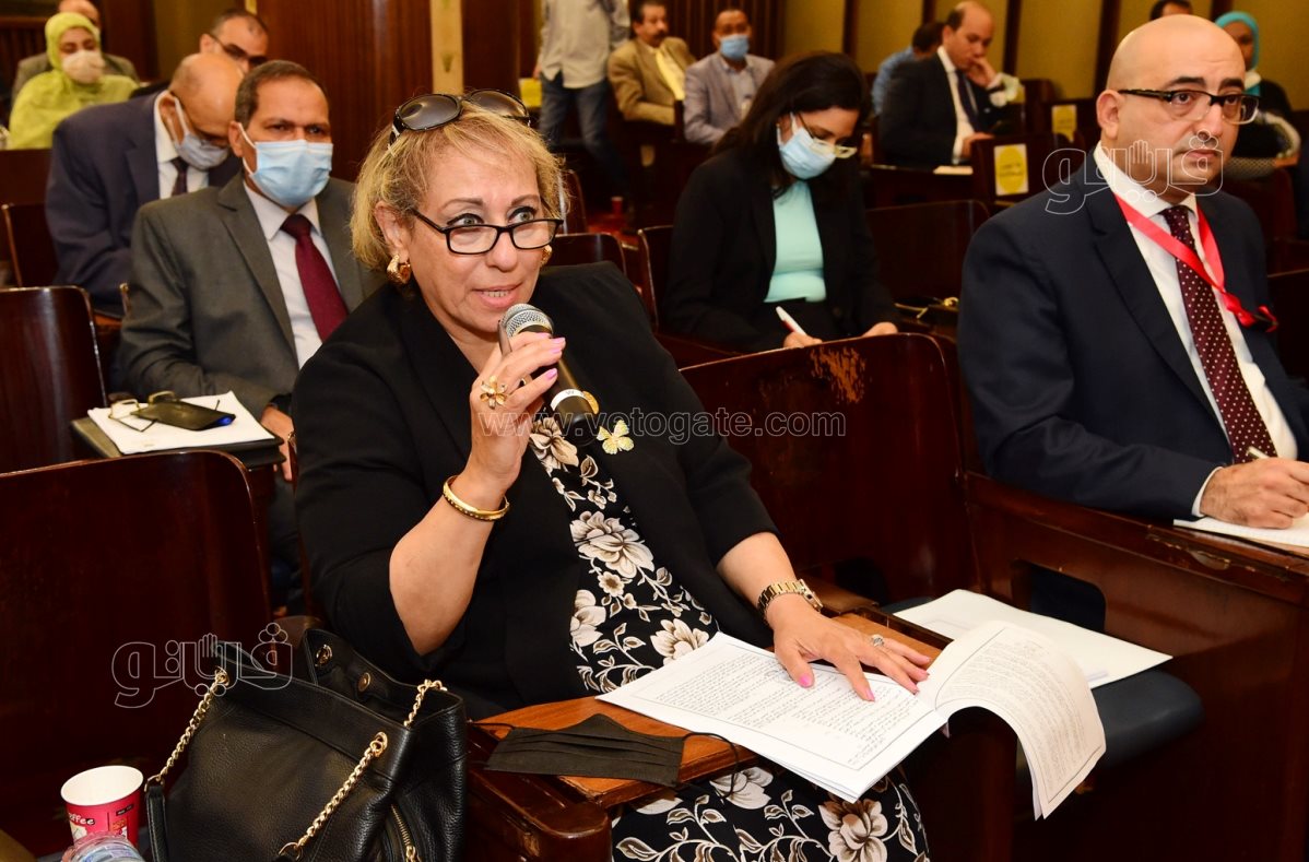 مجلس النواب (6)