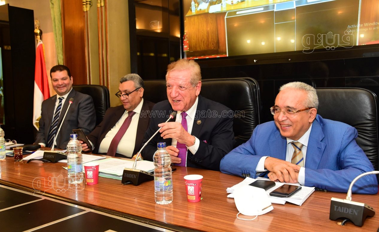 مجلس النواب (7)