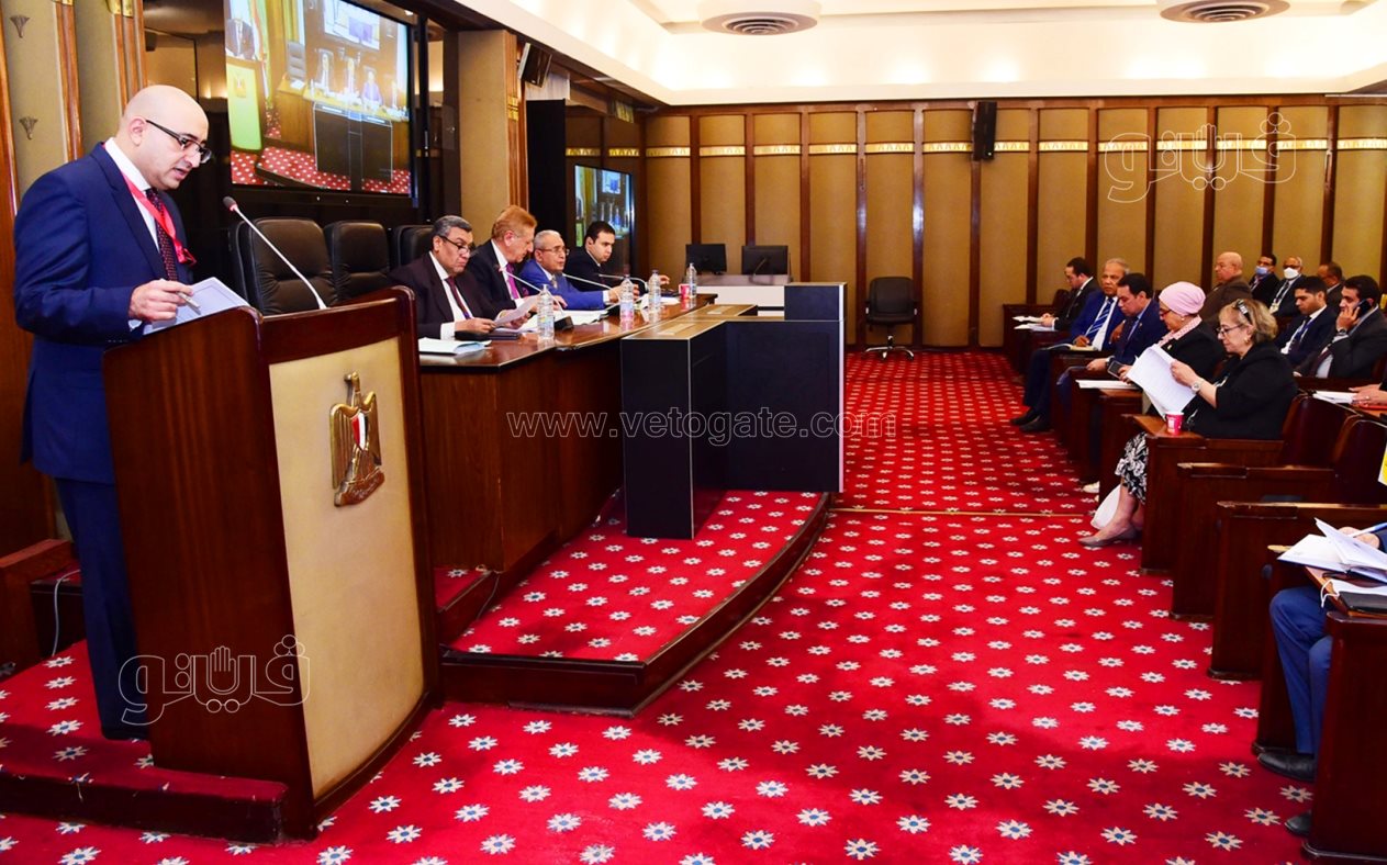 مجلس النواب (3)