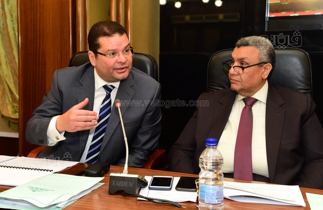 مجلس النواب (10)