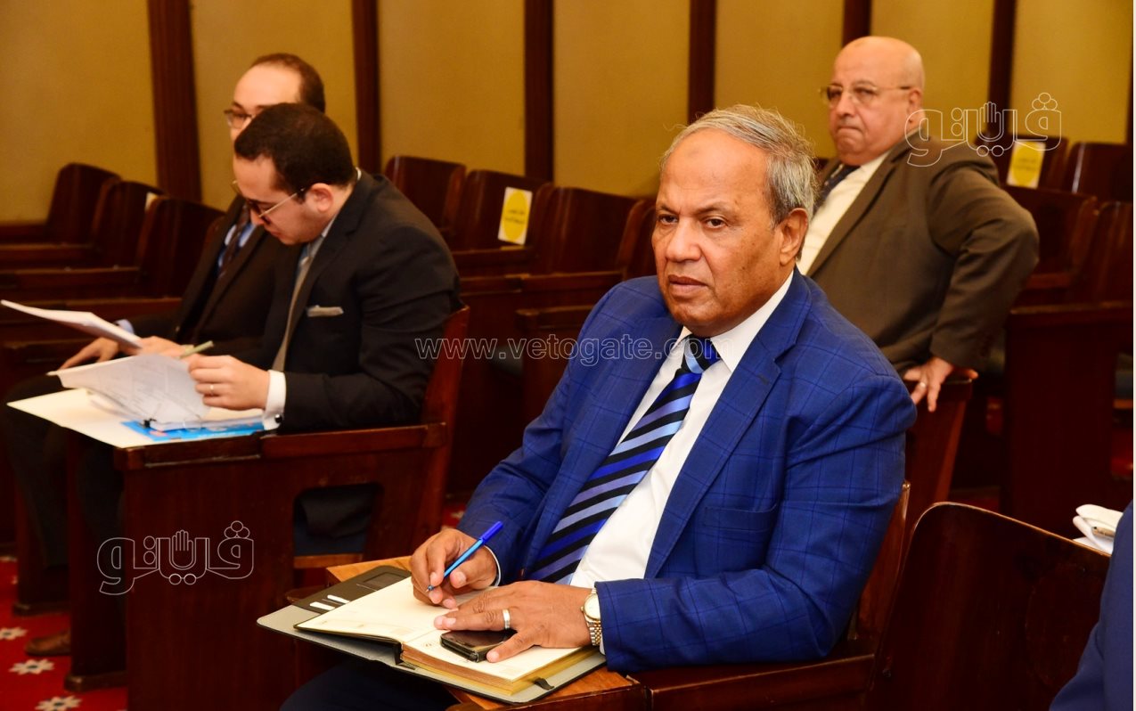 مجلس النواب (12)