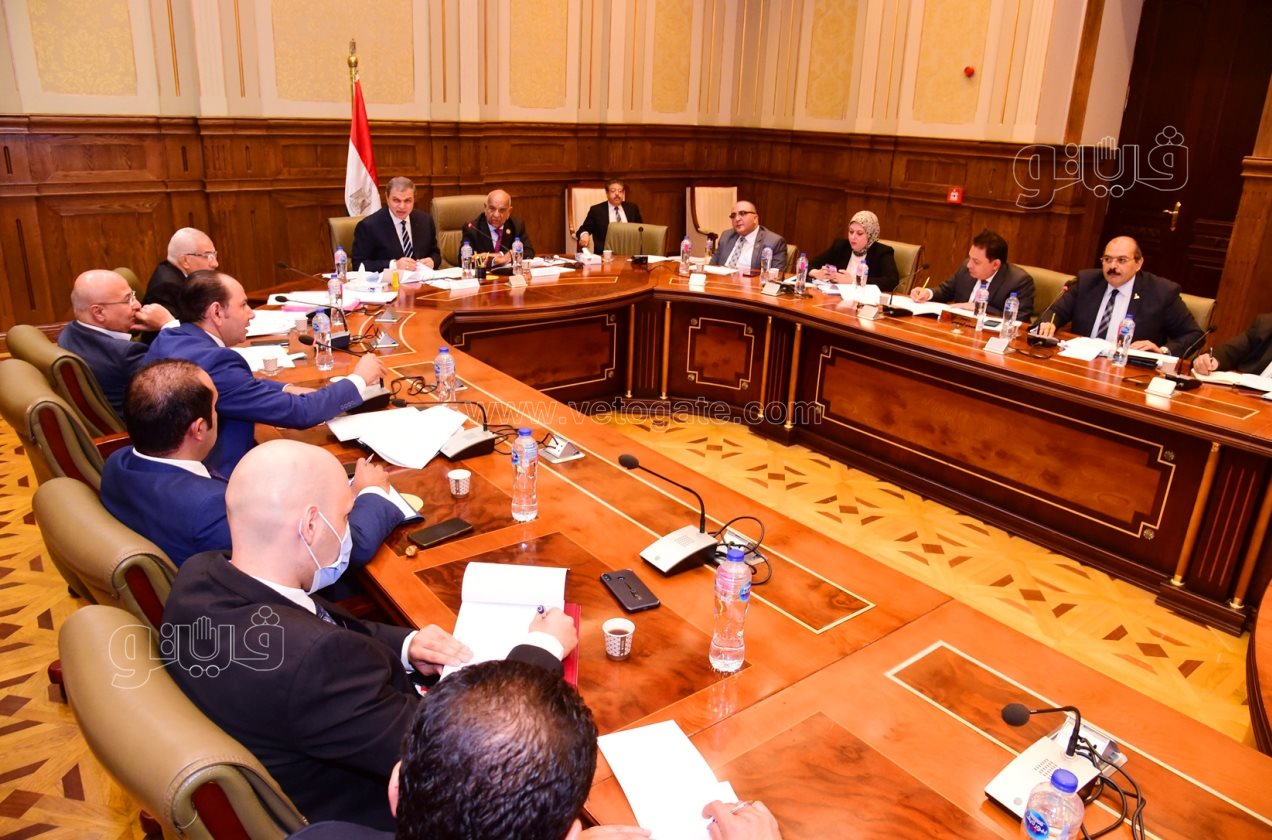 لجنة القوى العاملة بمجلس الشيوخ (5)