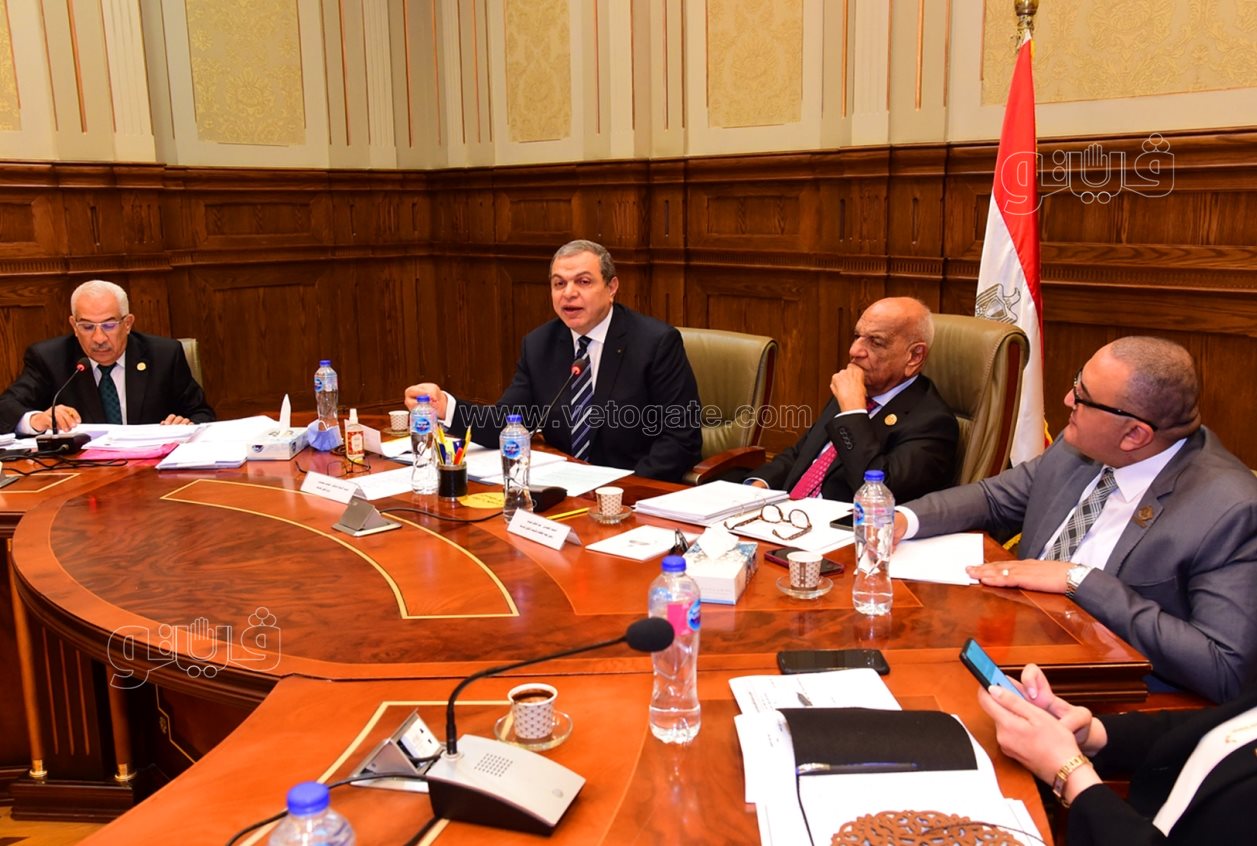 لجنة القوى العاملة بمجلس الشيوخ (7)