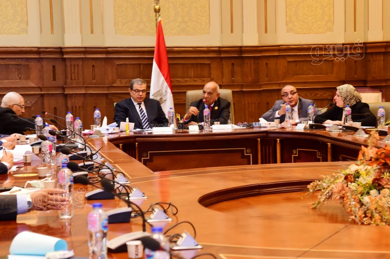 لجنة القوى العاملة بمجلس الشيوخ (10)