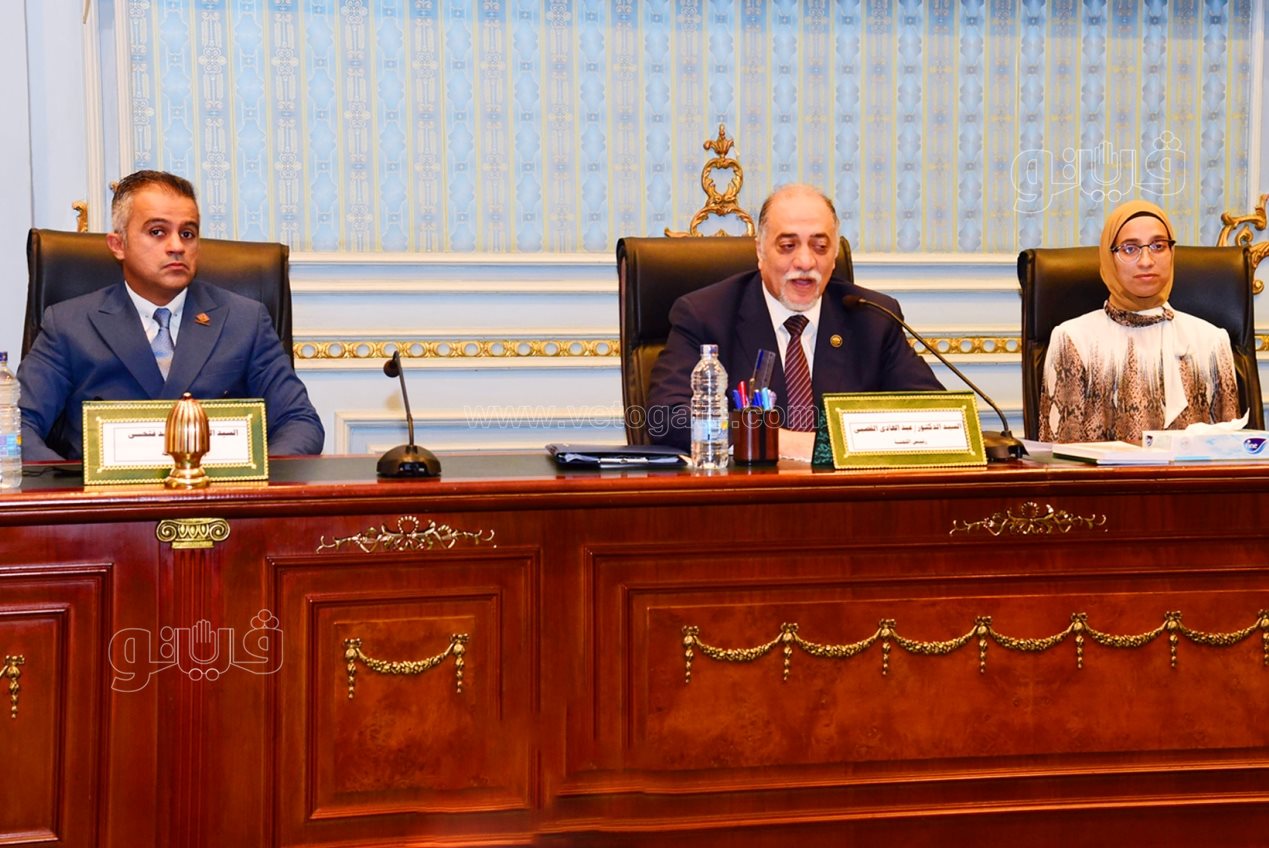  أنتخابات لجنة التضامن الاجتماعى  (7)