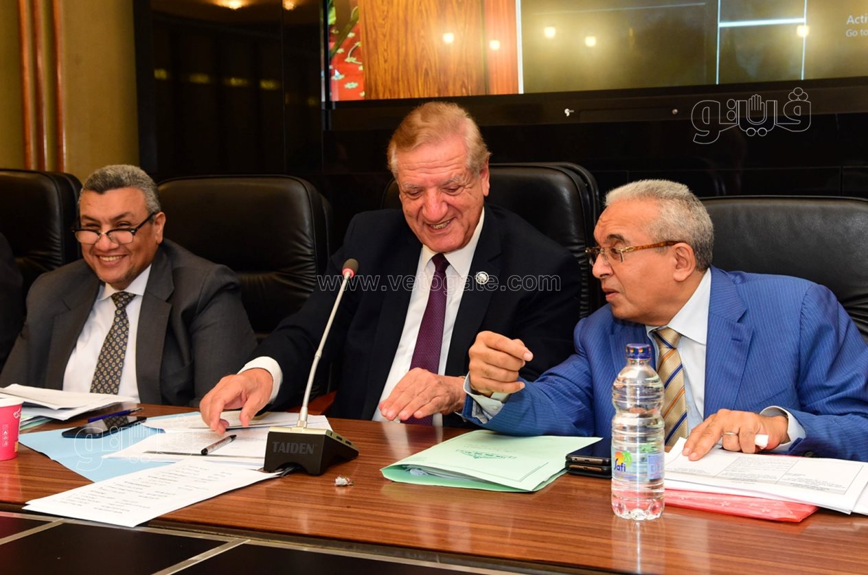 لجنة الخطة والموازنة بمجلس النواب (1)