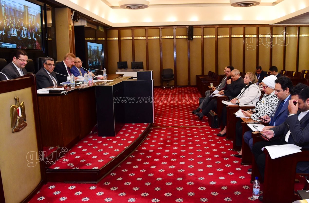 لجنة الخطة والموازنة بمجلس النواب (3)