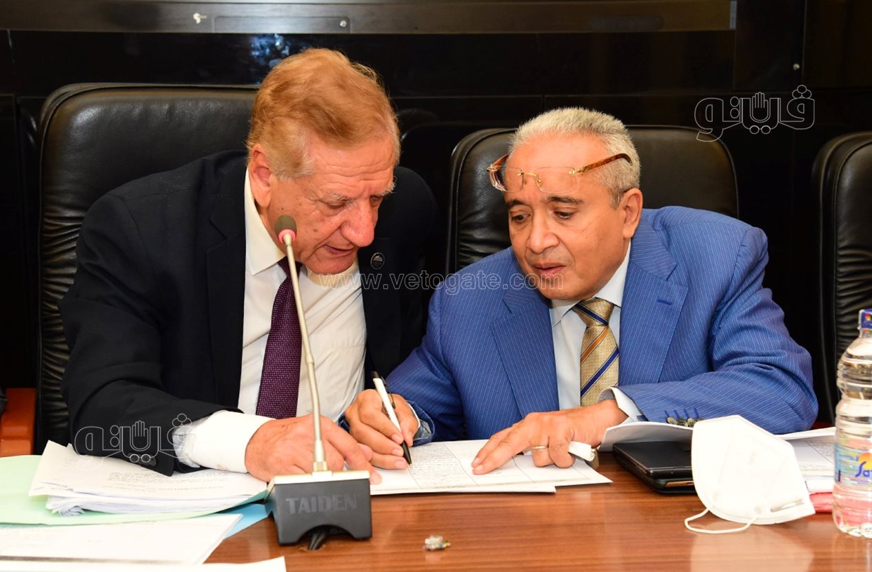 لجنة الخطة والموازنة بمجلس النواب (4)