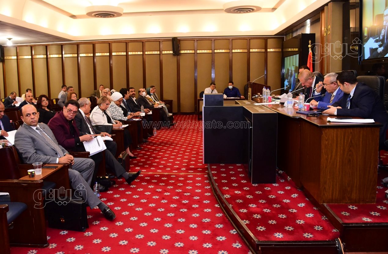 لجنة الخطة والموازنة بمجلس النواب (7)