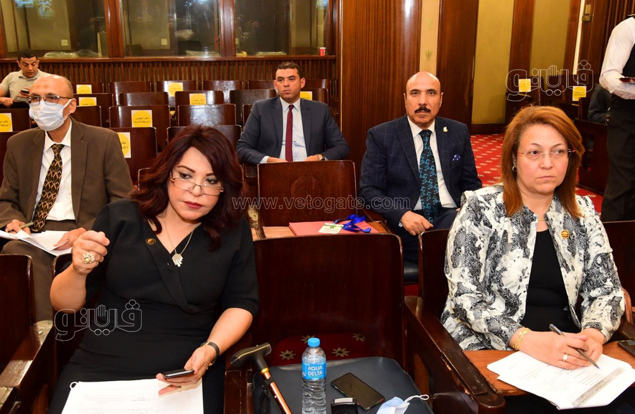 لجنة الخطة والموازنة بمجلس النواب (9)