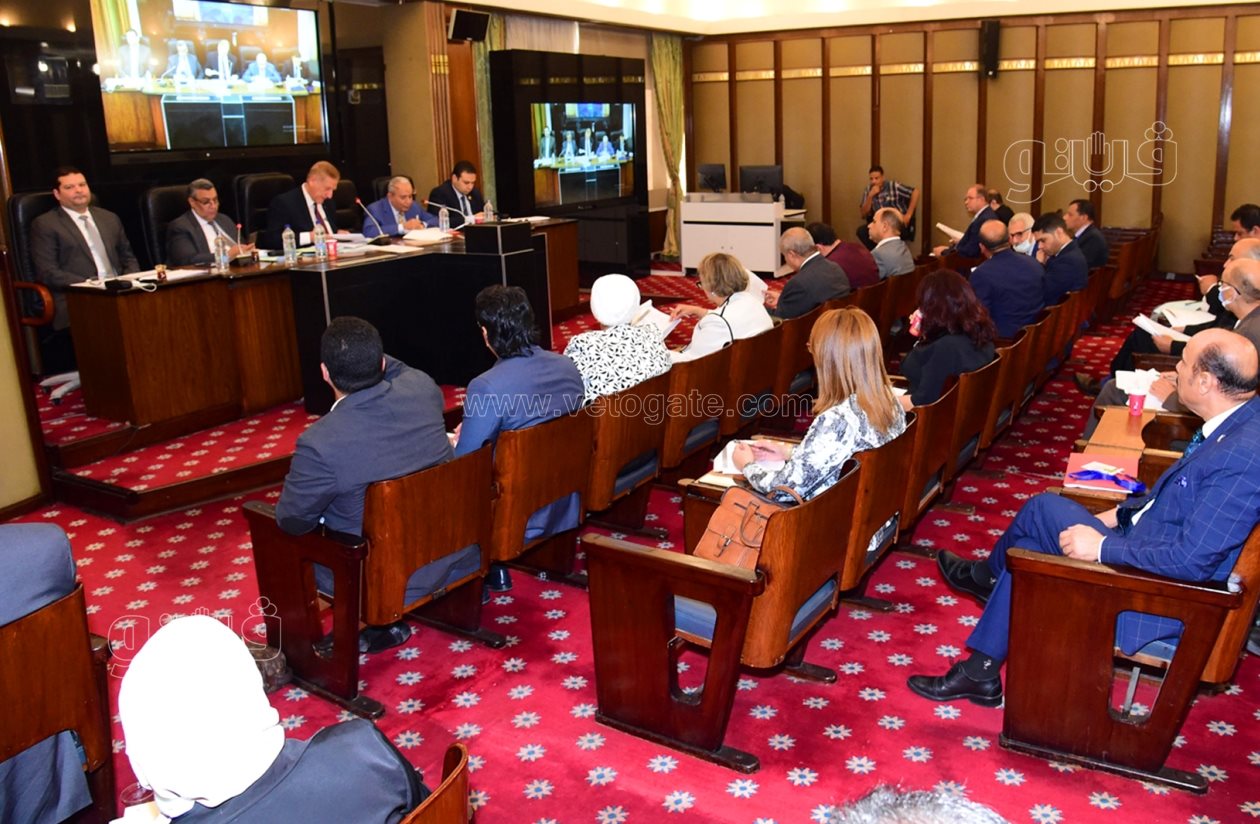 لجنة الخطة والموازنة بمجلس النواب (11)