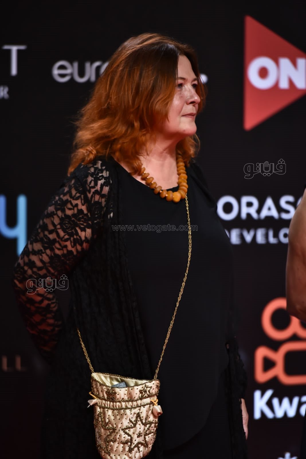 نجوم الفن في افتتاح مهرجان الجونة (68)