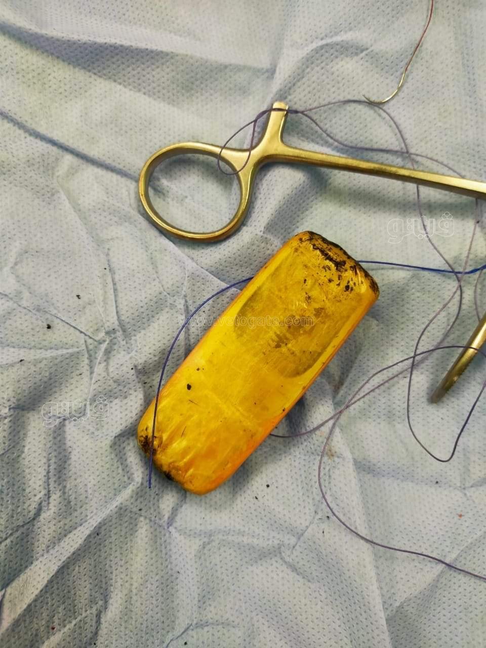 received_573146487237901