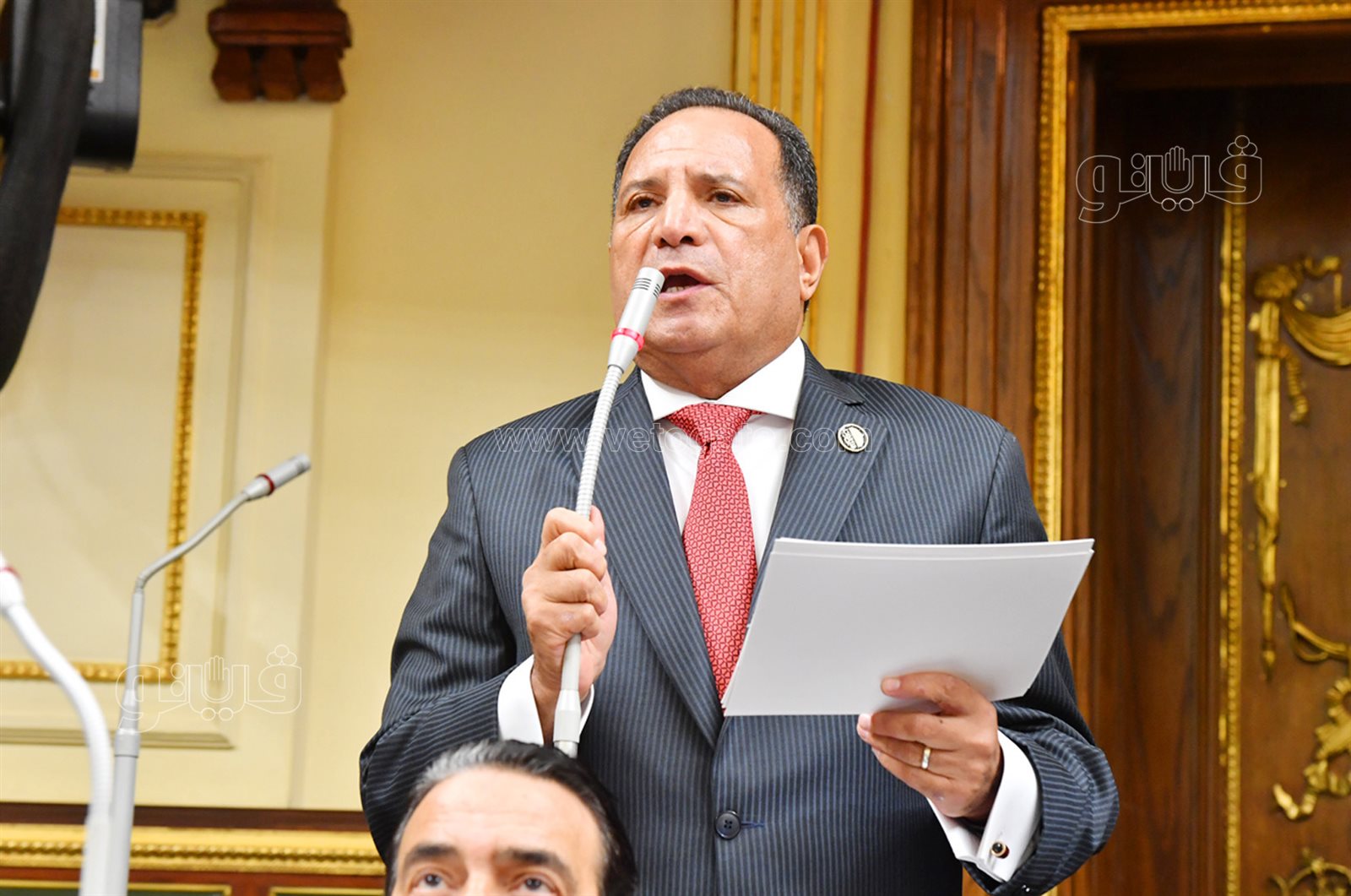 مجلس النواب (2)