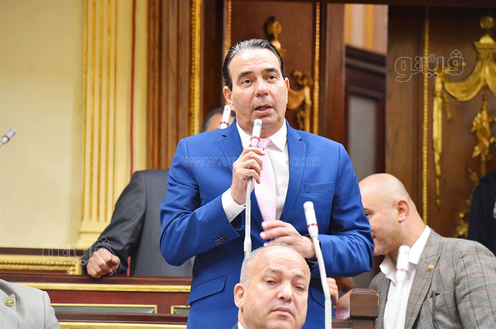 مجلس النواب (3)