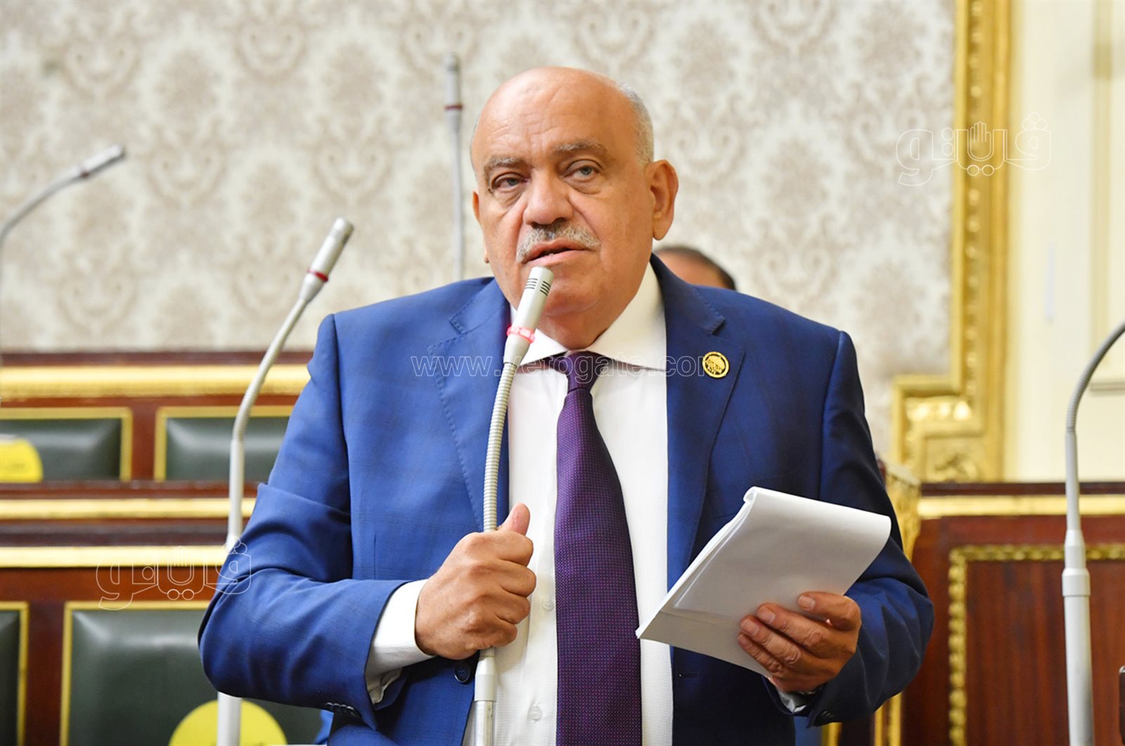 مجلس النواب (25)