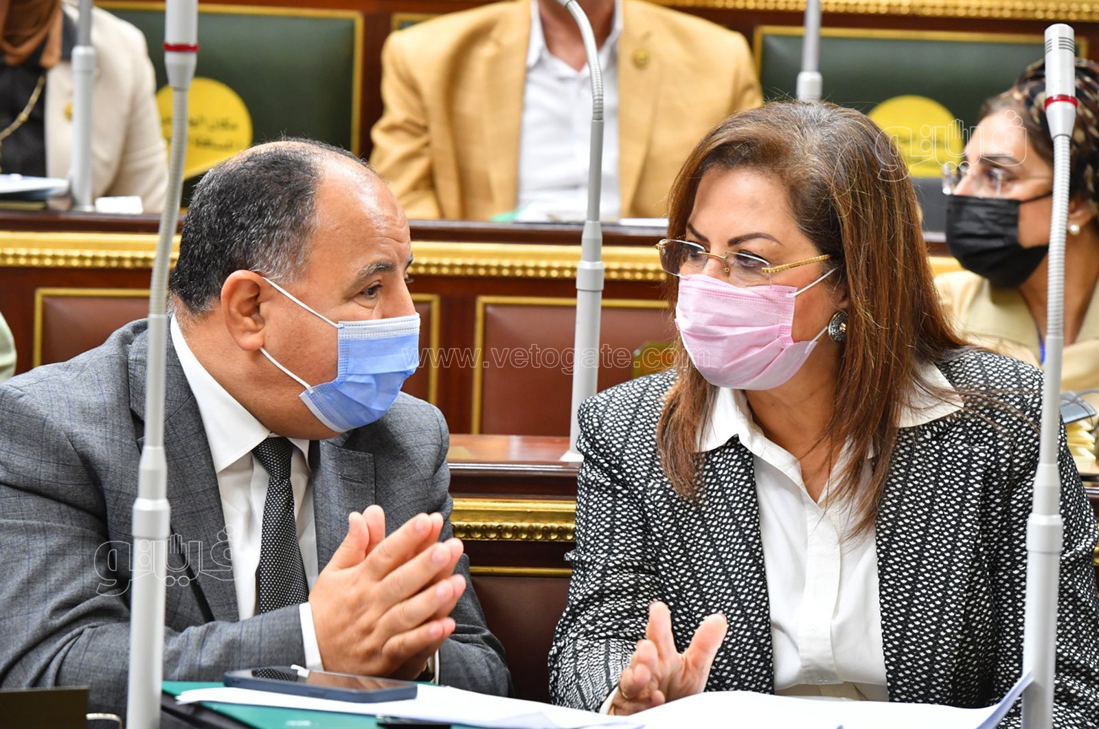 مجلس النواب (35)