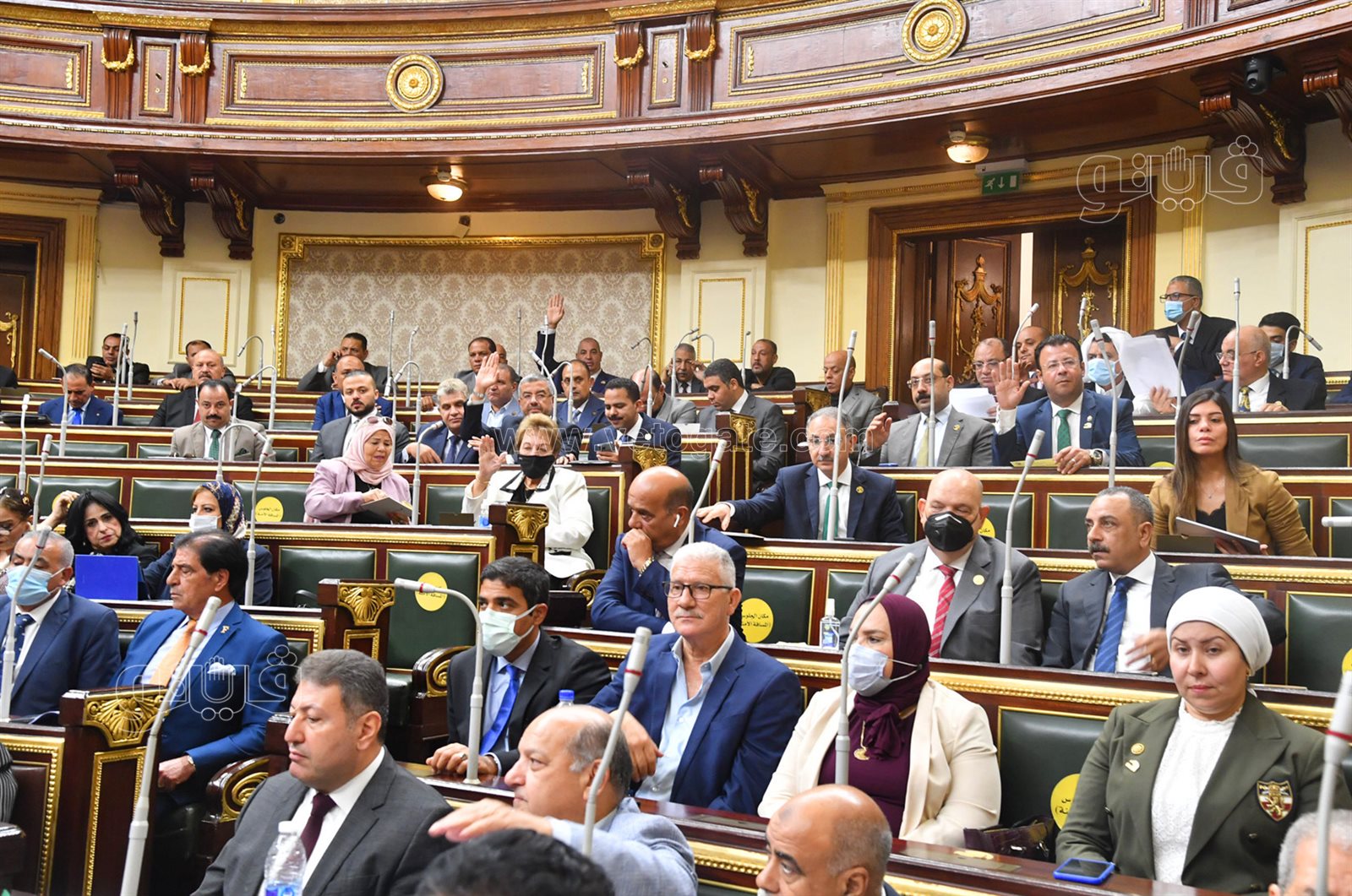 مجلس النواب (9)