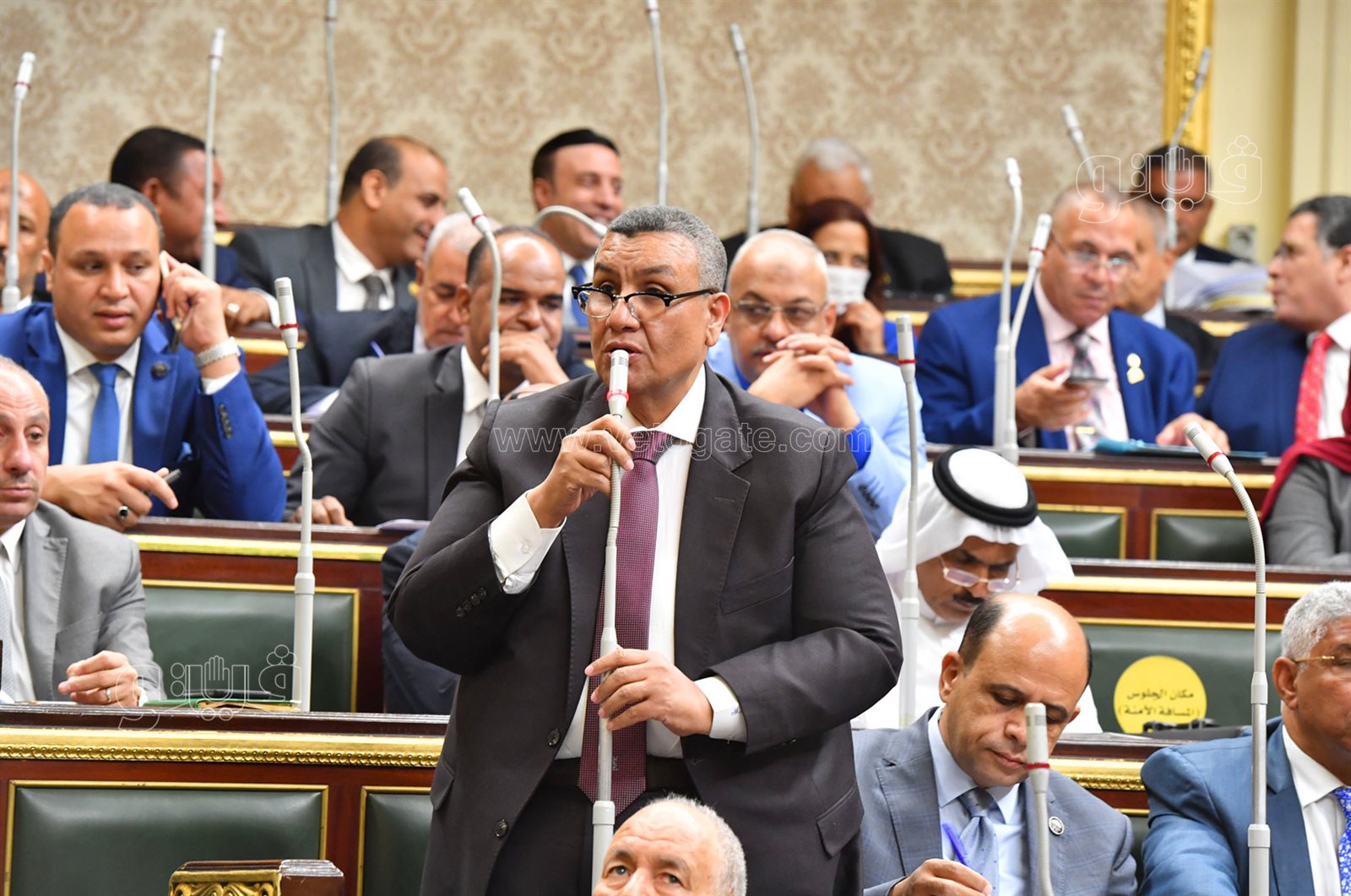 مجلس النواب (16)