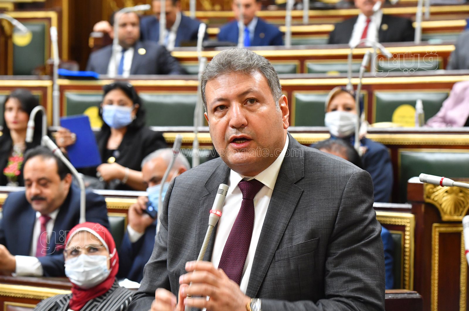 مجلس النواب (17)