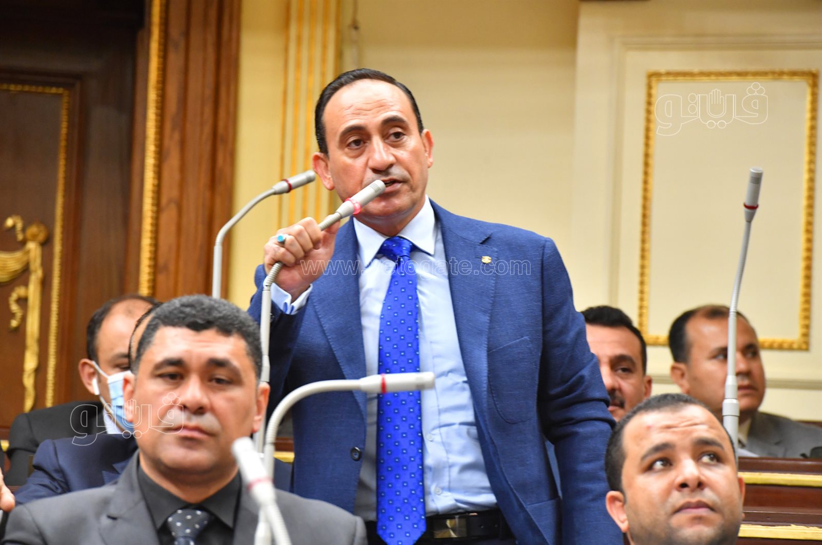 مجلس النواب (20)