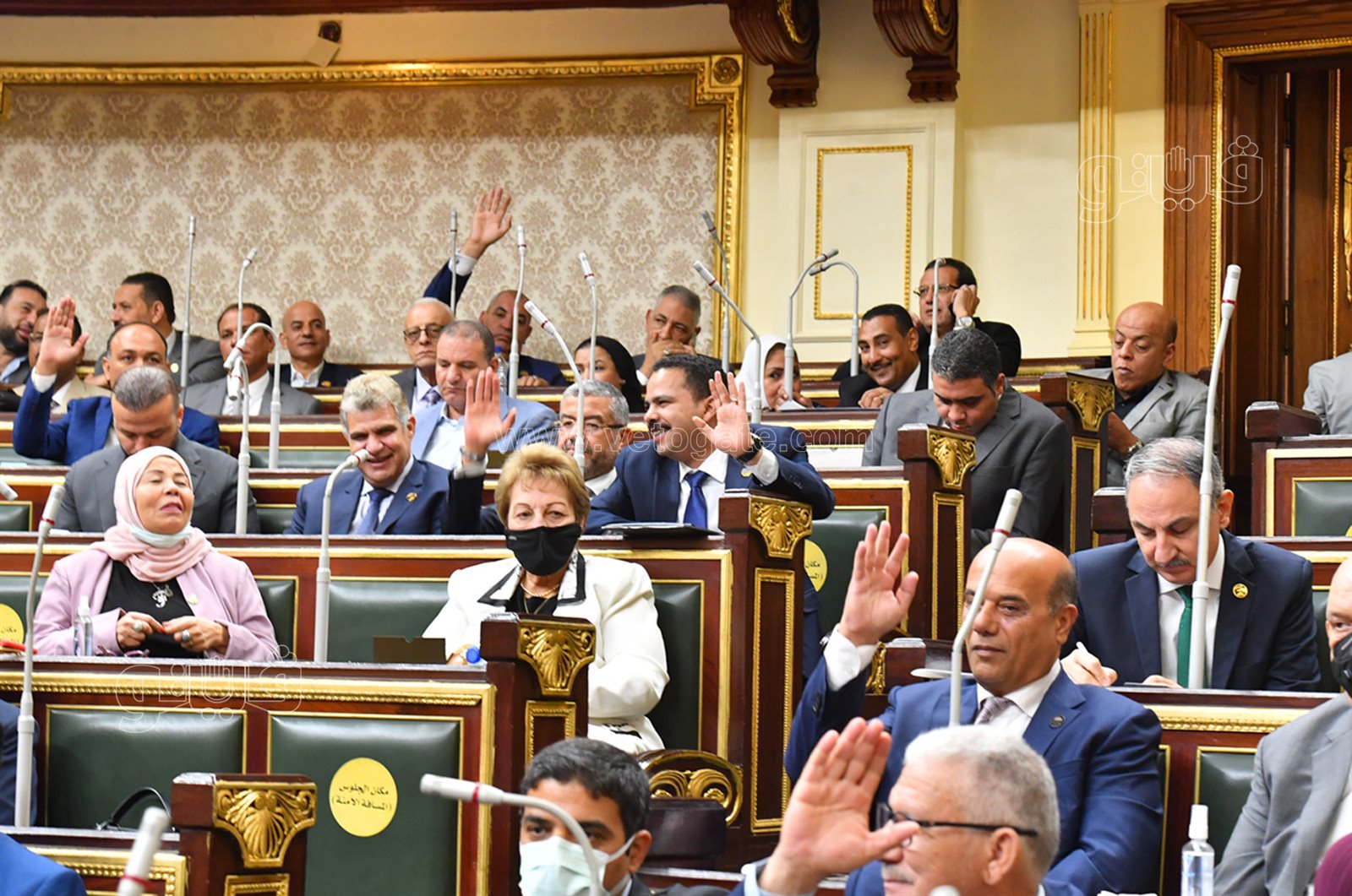 مجلس النواب (22)