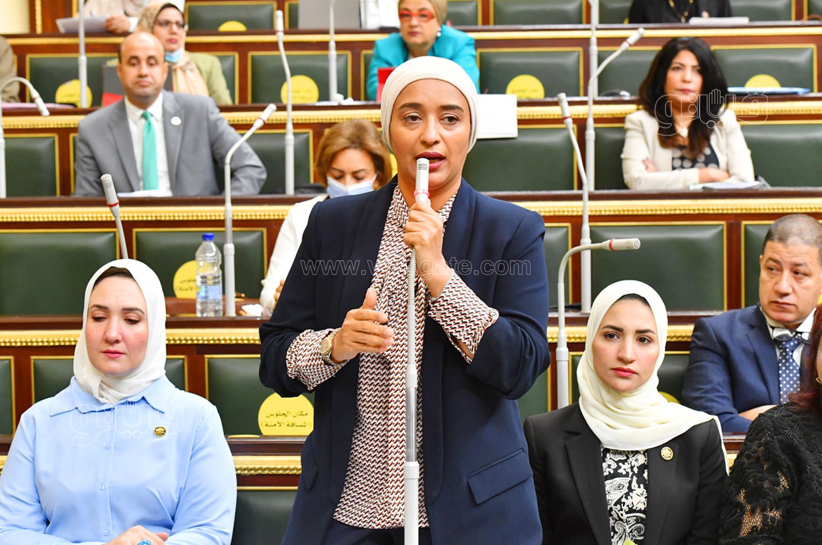 مجلس النواب (30)