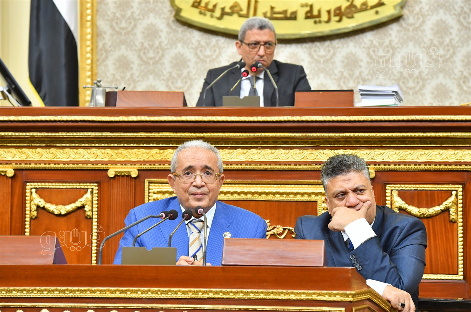 مجلس النواب (31)