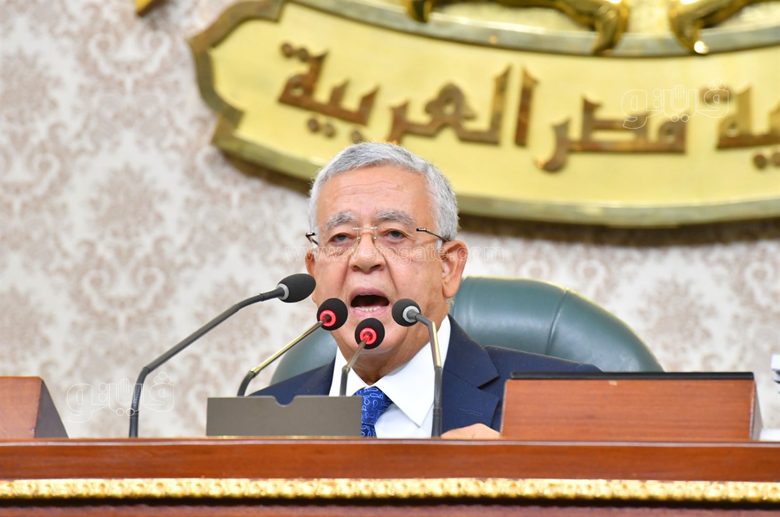 مجلس النواب (5)