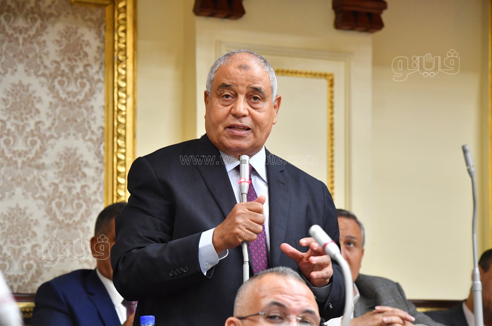 مجلس النواب (18)