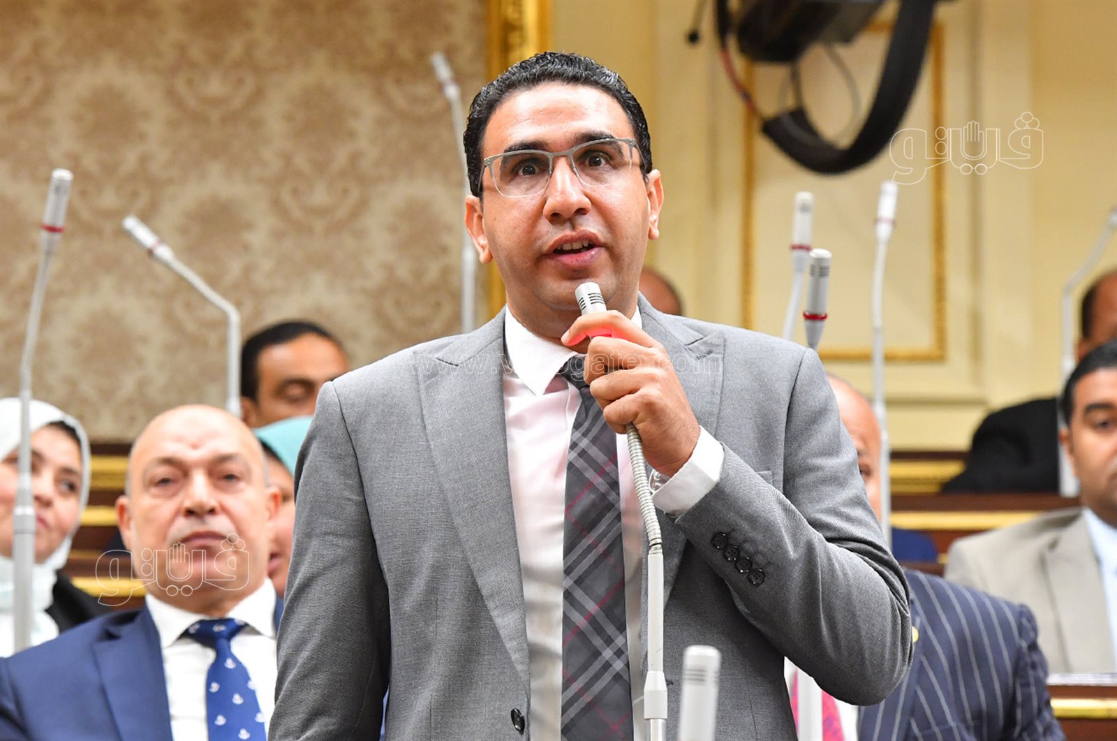 مجلس النواب (19)