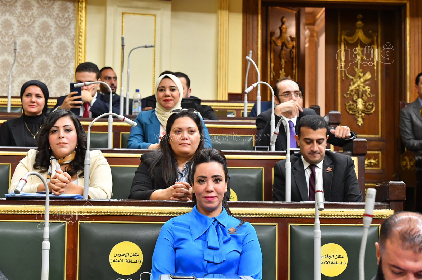 مجلس النواب (24)