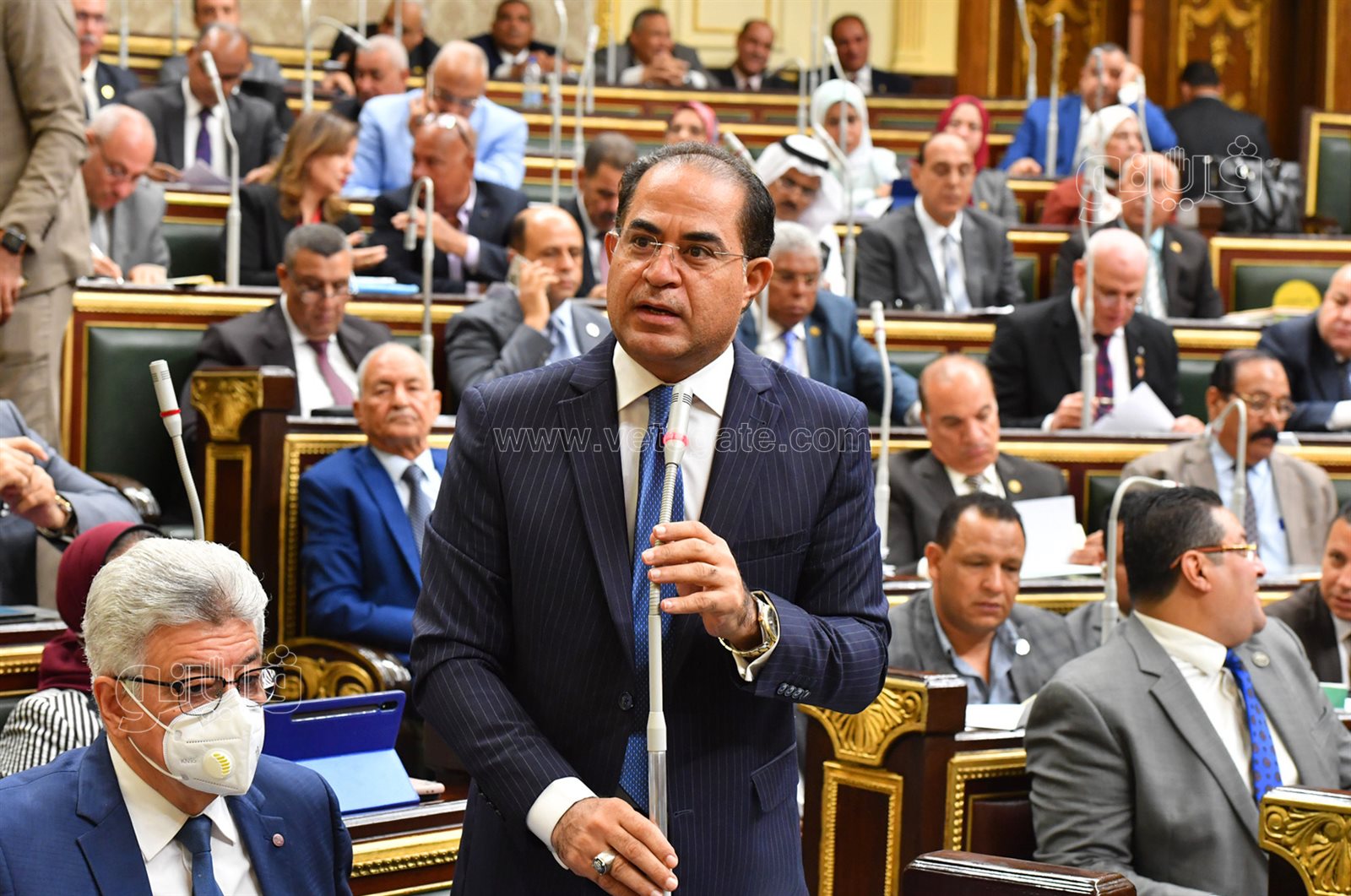 مجلس النواب (27)