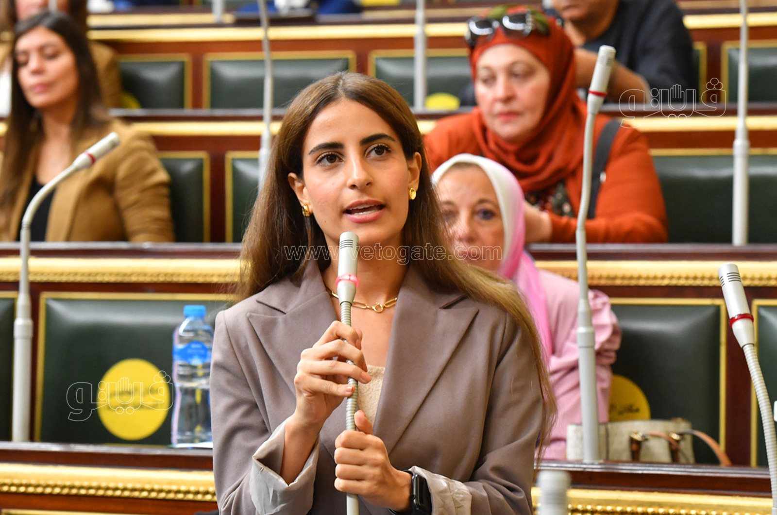 مجلس النواب (28)