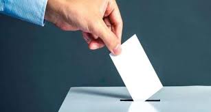 الإدلاء بالصوت الانتخابى واجب دستورى - الأهرام اليومي