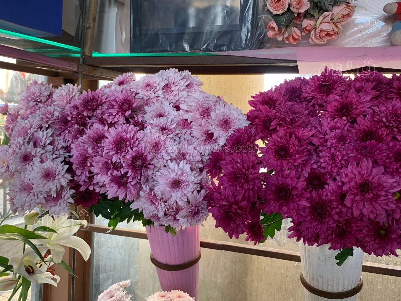 يبدأ من 15 جنيها والأغلى بـ 10700 جنيه، أسعار ورد عيد الحب 2024 في مصر (صور)