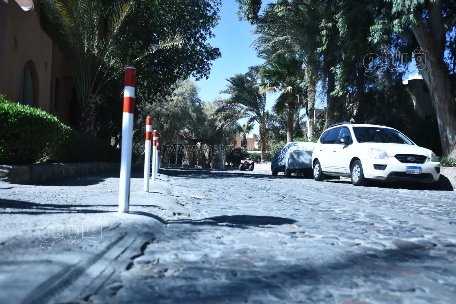 الجونة مدينة السحر والسياحة والجمال (16)