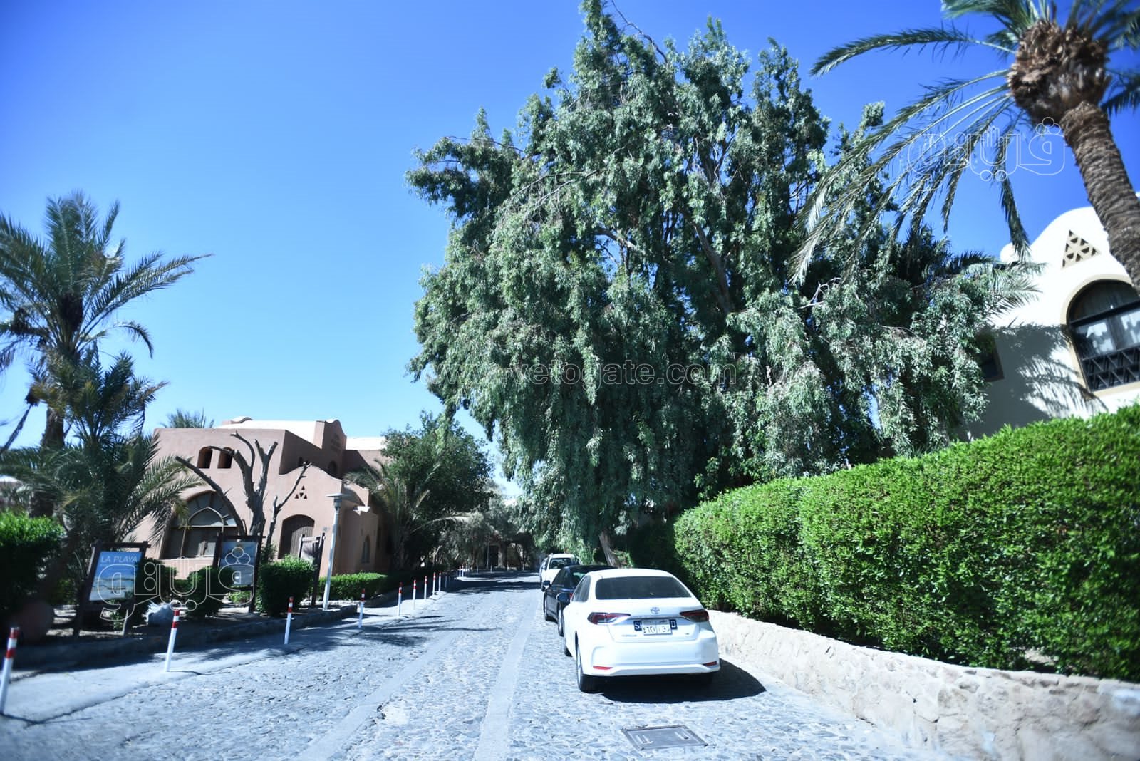 الجونة مدينة السحر والسياحة والجمال (17)