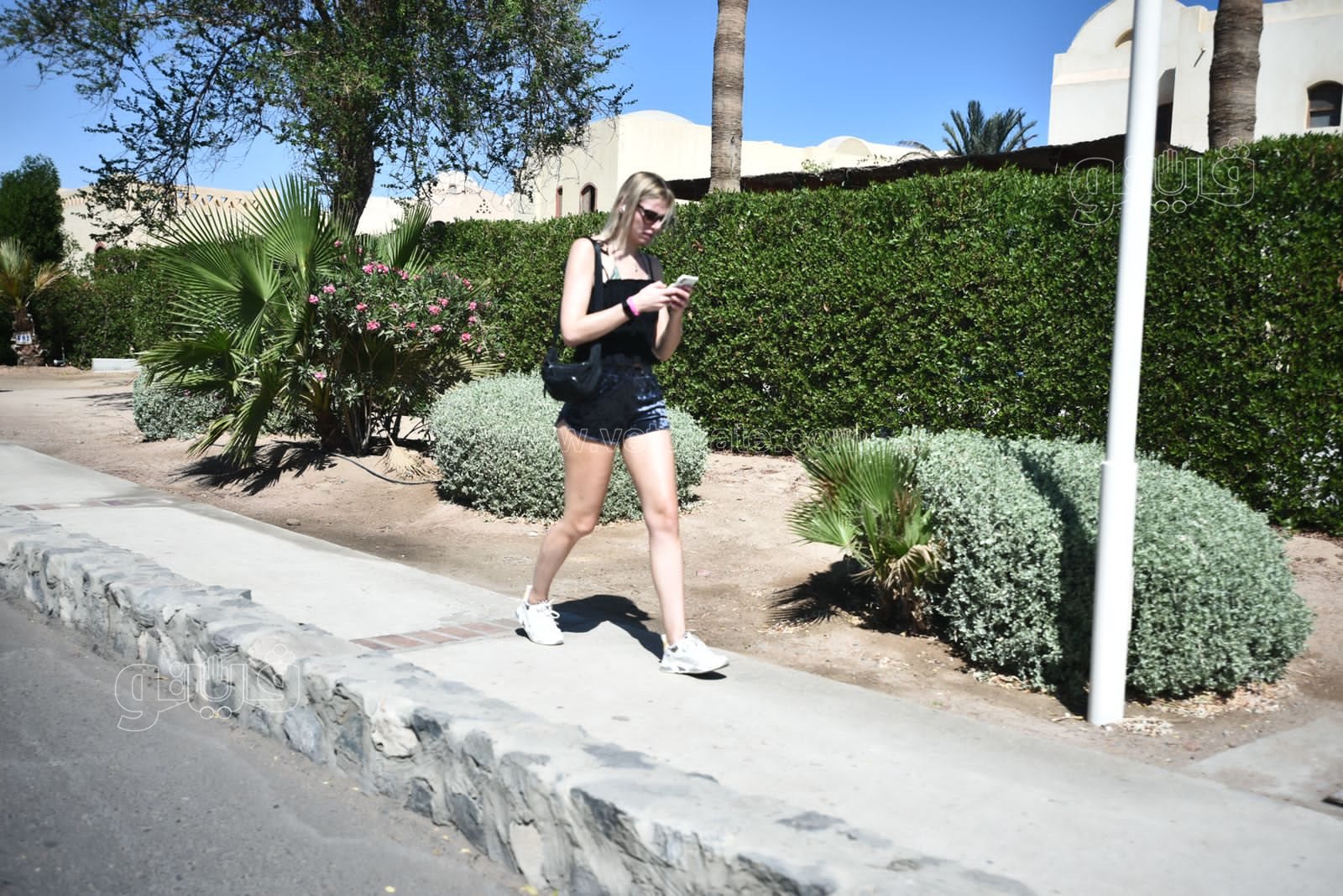 الجونة مدينة السحر والسياحة والجمال (27)