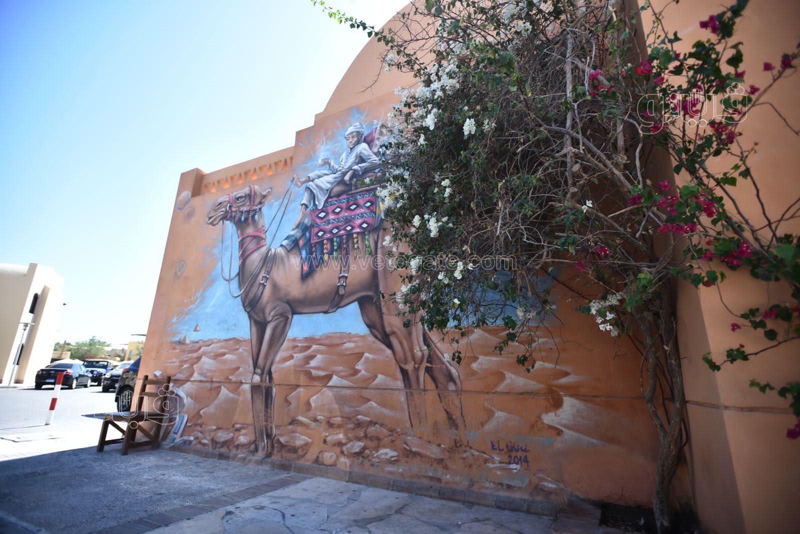 الجونة مدينة السحر والسياحة والجمال (68)