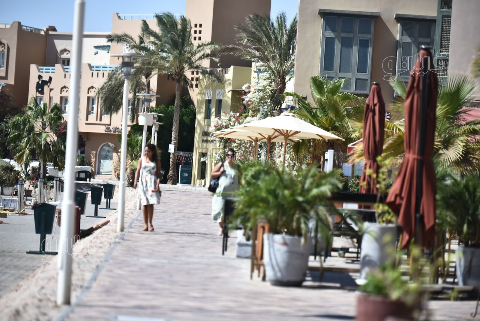 الجونة مدينة السحر والسياحة والجمال (70)