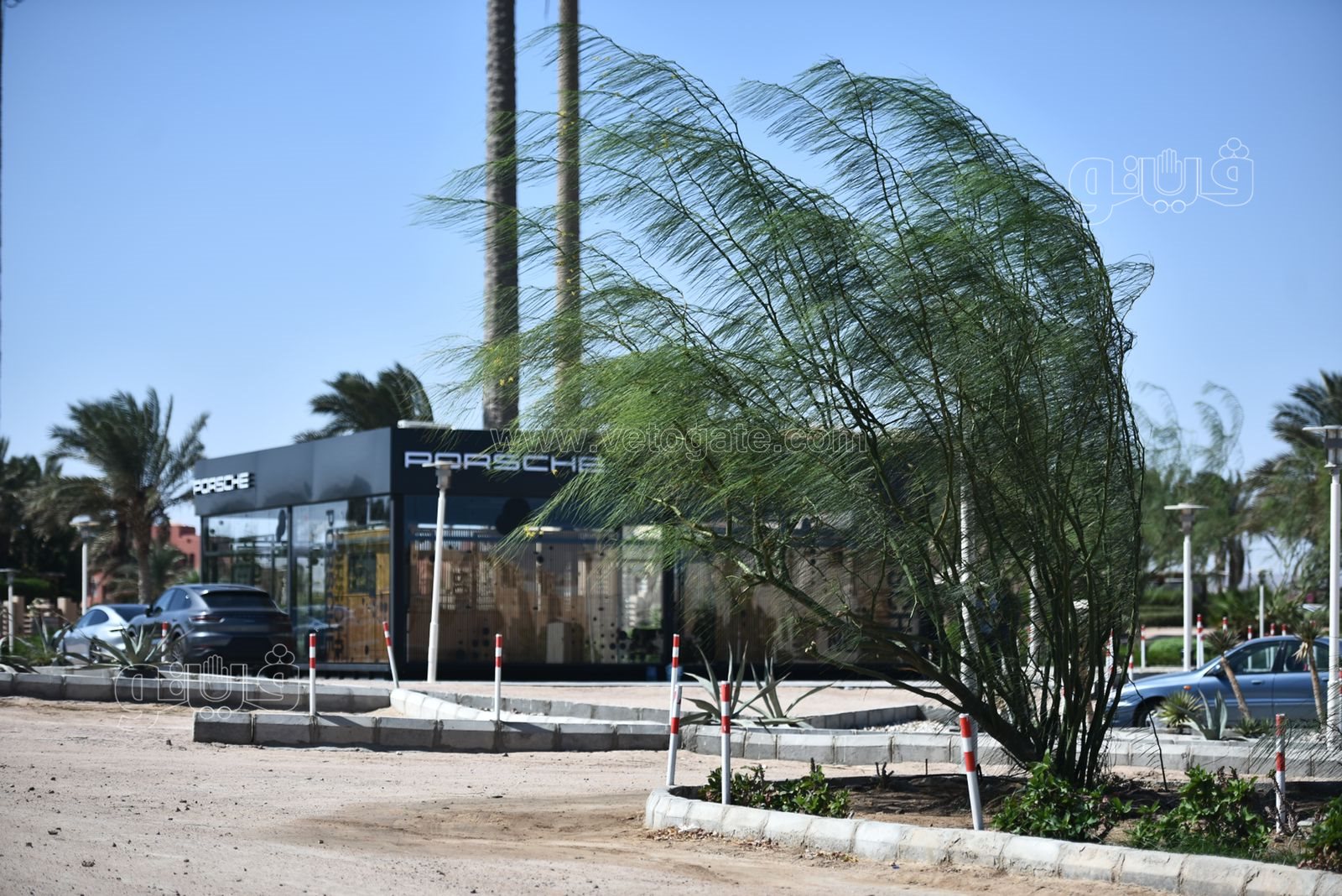 الجونة مدينة السحر والسياحة والجمال (75)