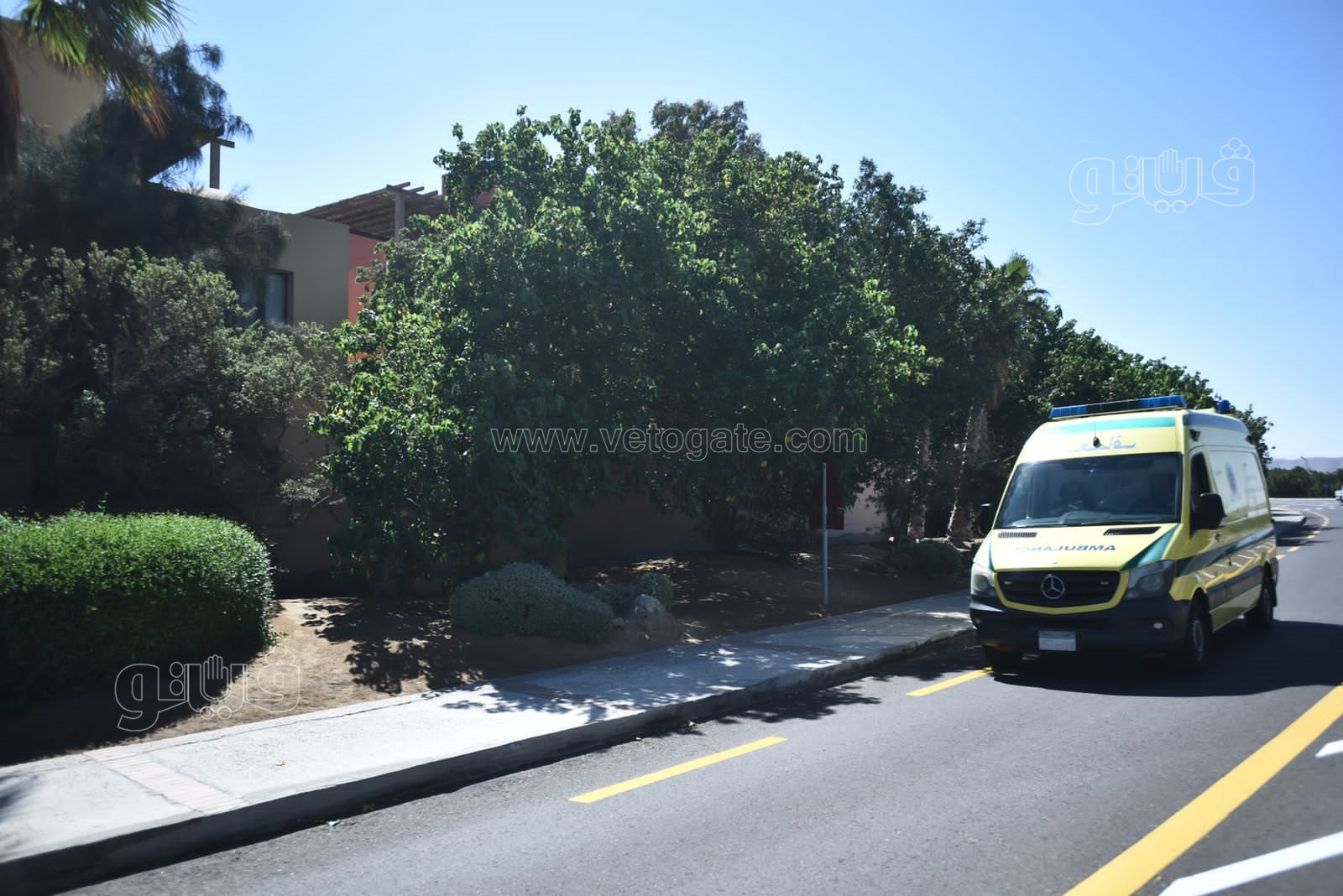 الجونة مدينة السحر والسياحة والجمال (78)