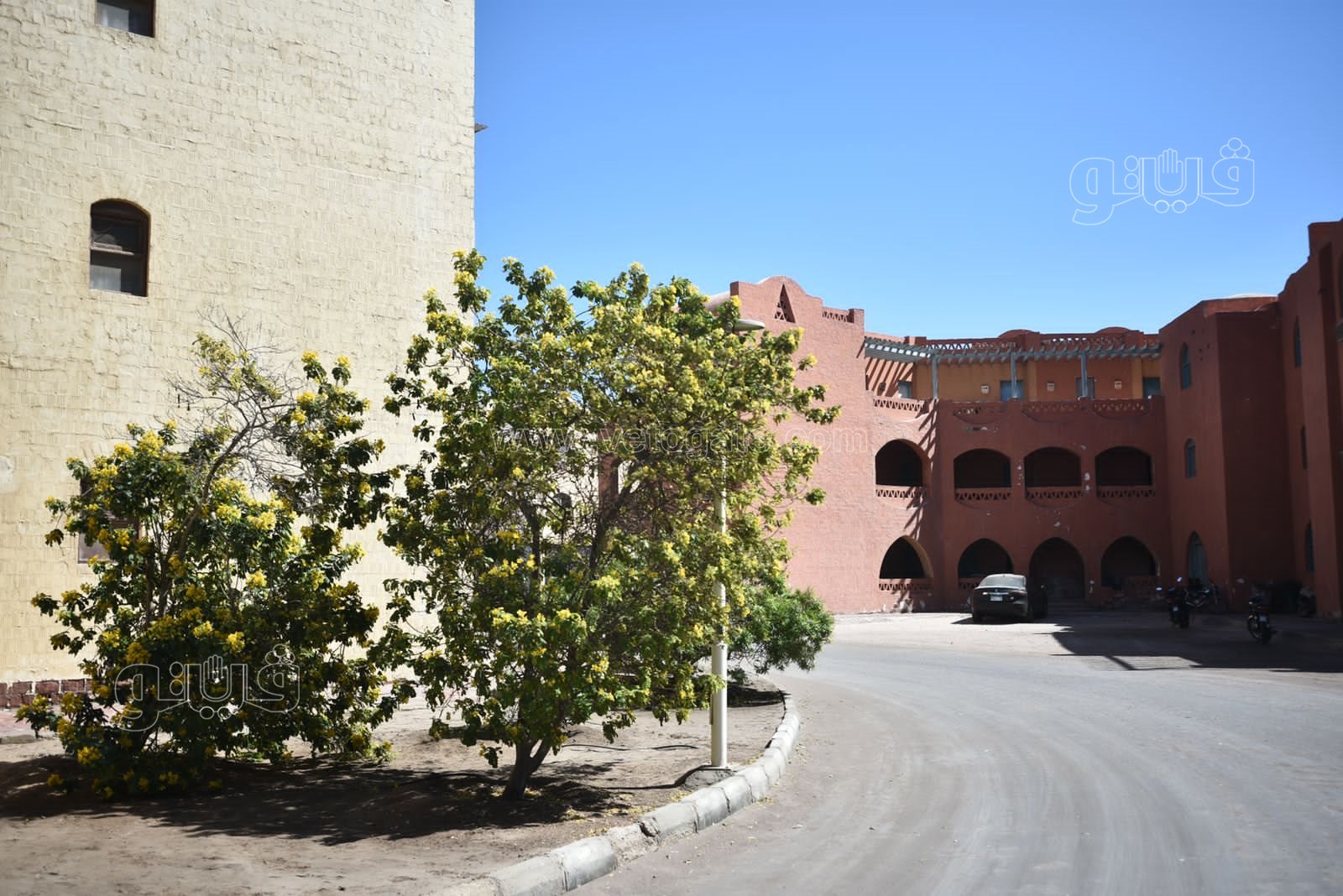 الجونة مدينة السحر والسياحة والجمال (80)