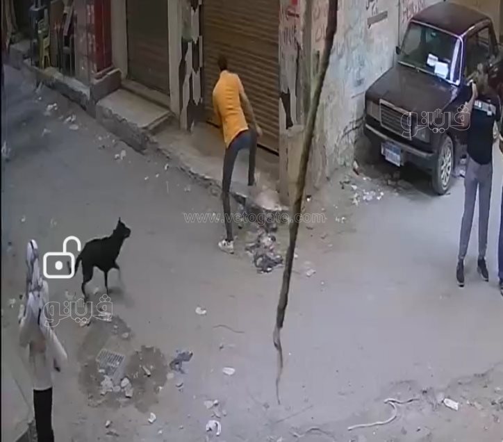 Screenshot_٢٠٢١١٠٢٠_١٦٠٢١٠