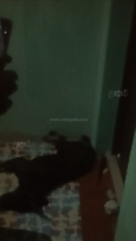 IMG_٢٠٢١١٠٢٠_١٦٠٣٠٣