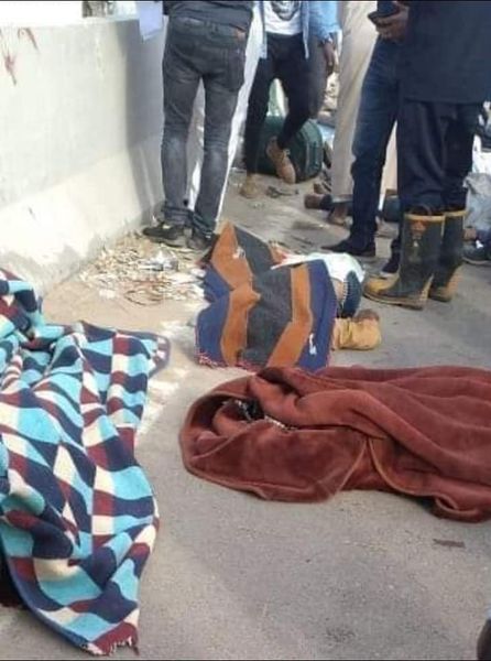 246924276_405822187717942_4642296726619345759_n