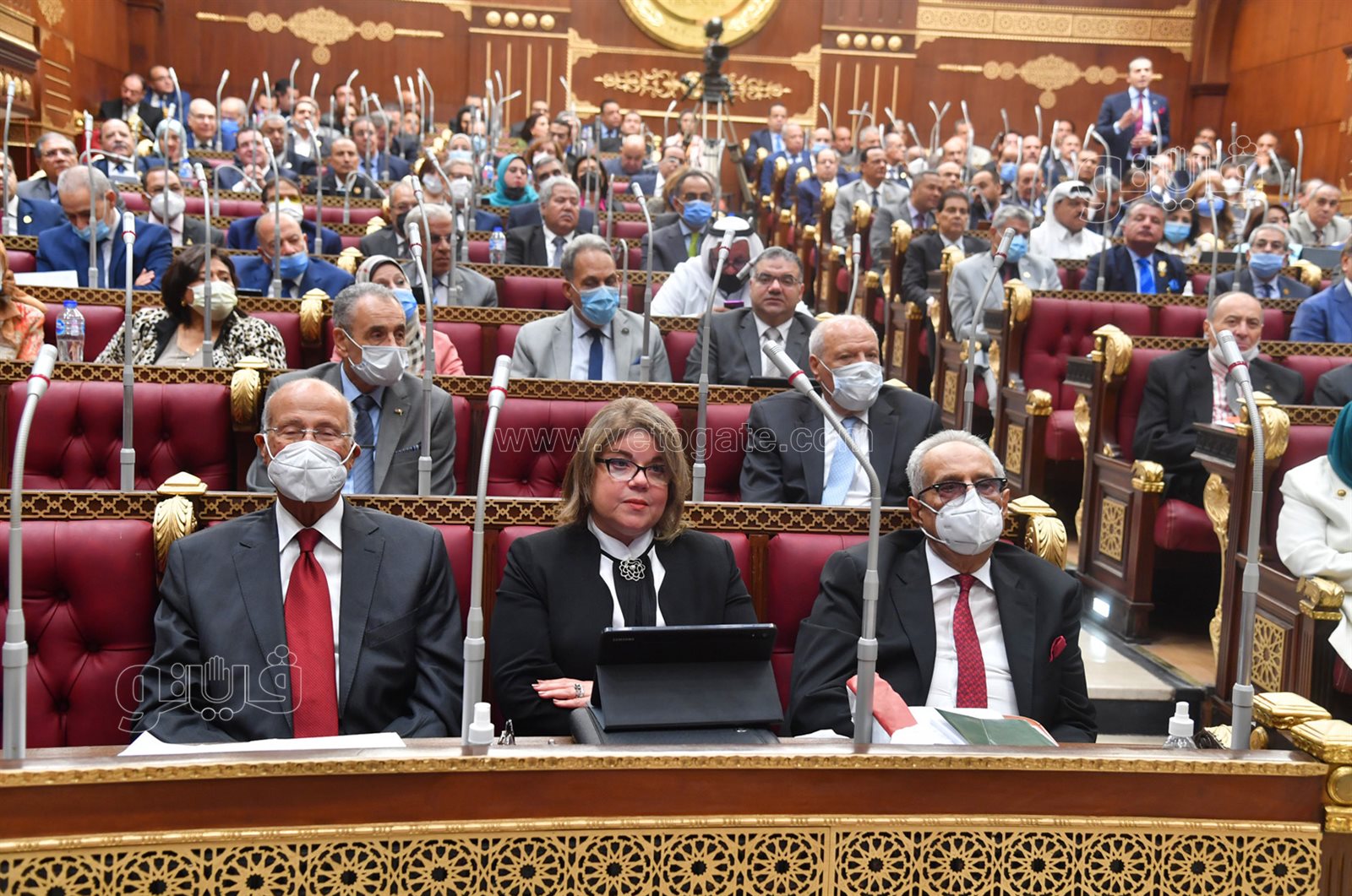 مجلس الشيوخ 24-10-2021 (6)