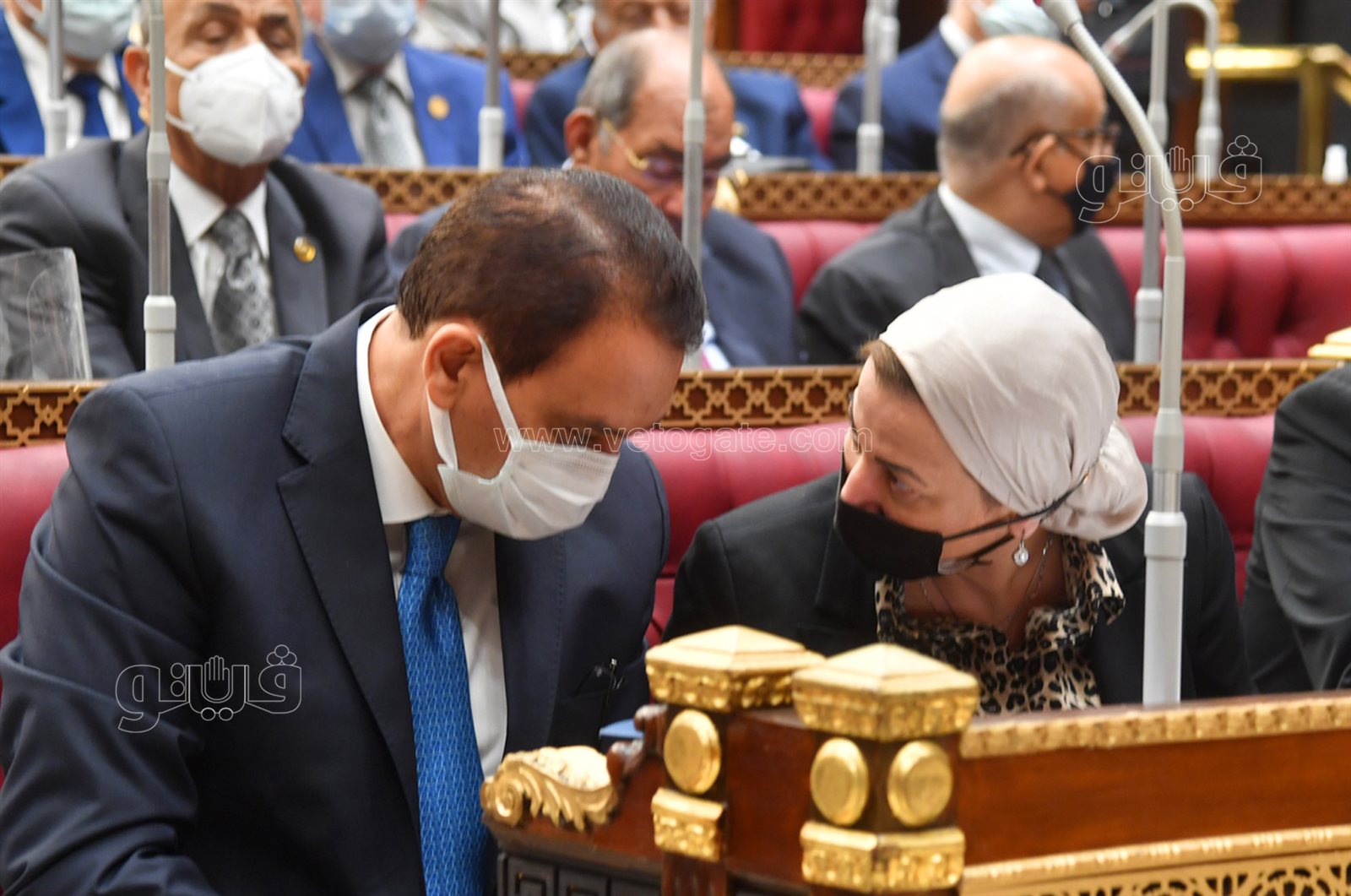 مجلس الشيوخ 24-10-2021 (7)