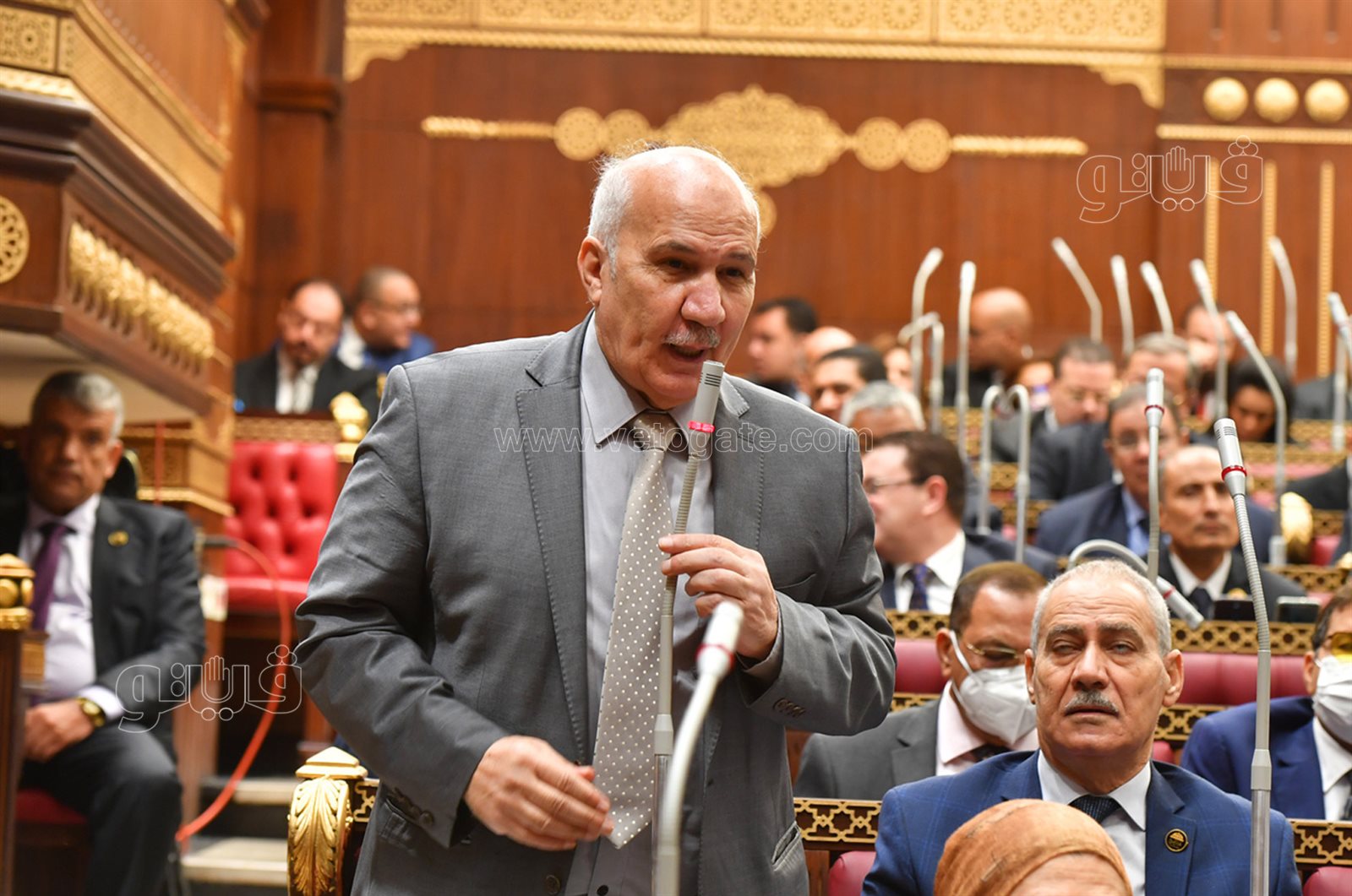 مجلس الشيوخ 24-10-2021 (8)